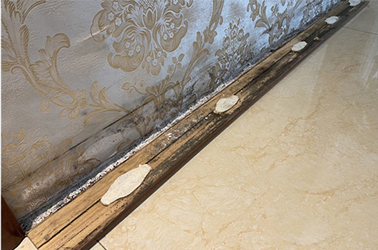 踢脚线发霉发黑